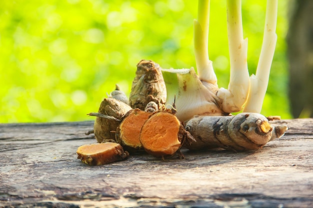 curcuma-medicina-integrativa-antiinflamatorio-inmunitario